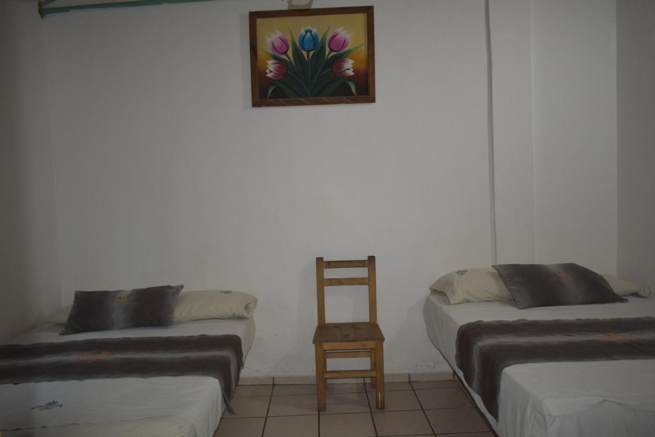 Tropical Suite Los Ayala Kültér fotó