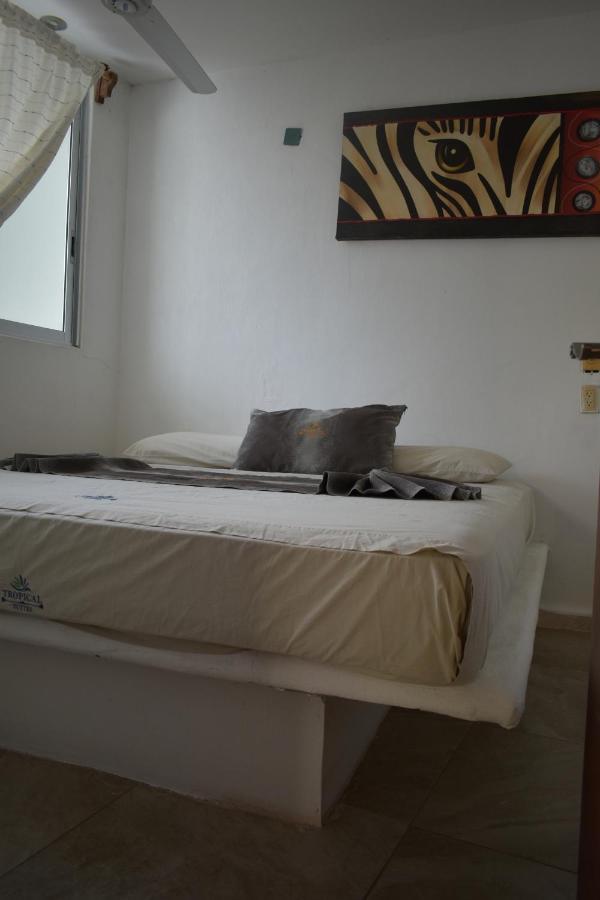 Tropical Suite Los Ayala Kültér fotó